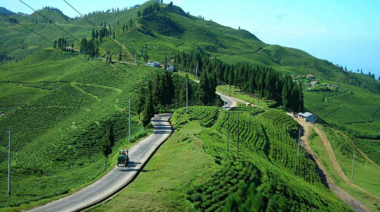 इलाम