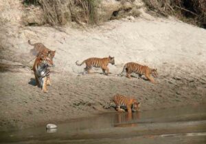 Read more about the article Bardiya District
